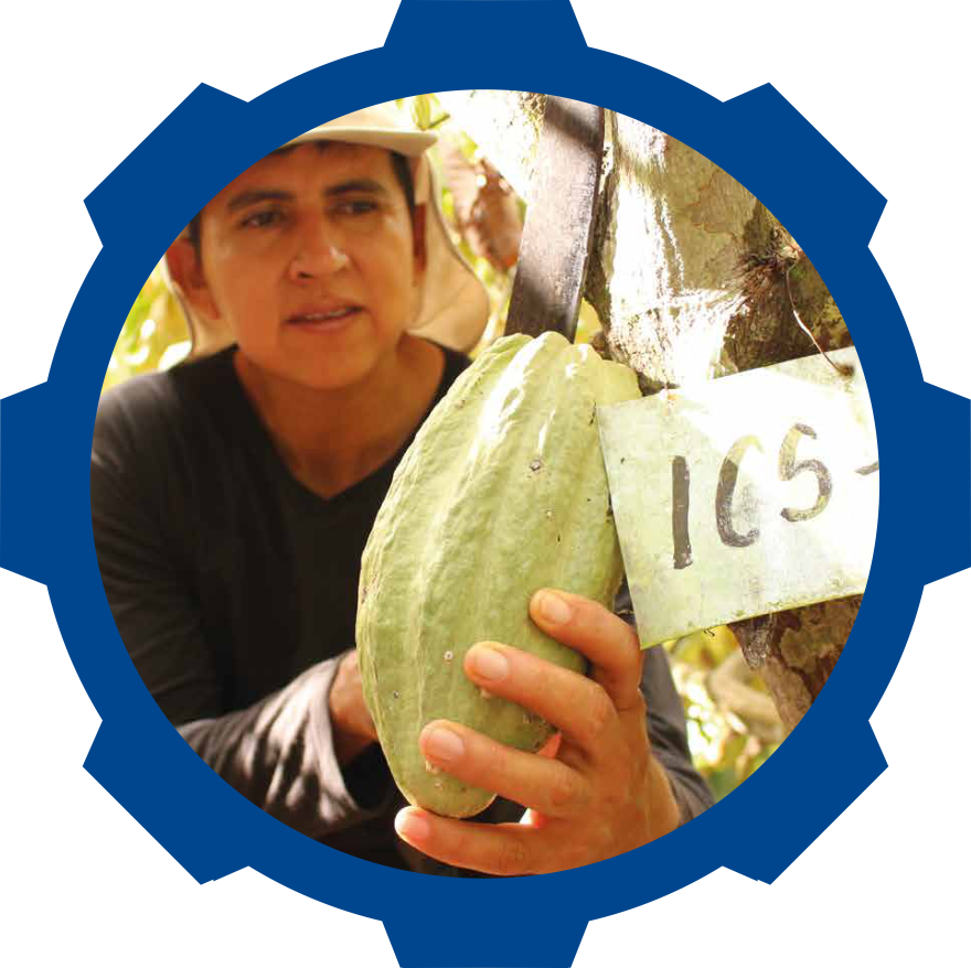 Cacao Manacorp