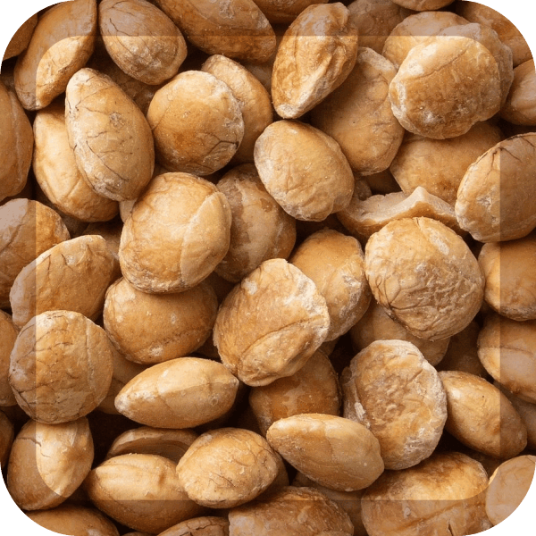 Grano sacha inchi